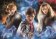 Puzzle Harry Potter 500 dílků