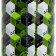 Minecraft Iconicmono Termoláhev 665ml, nerezová