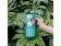 Nerezový termohrnek s brčkem Umi Waterfall Garden 720ml