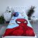 Mikroflanelová deka - Spider-Man