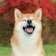 Kalendář 2027 poznámkový: Happy Doge, 30 x 30 cm