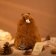 Plyšová hračka Alpaca SMALL - HAZELNUT