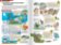 Pokecology: An Illustrated Guide to Pokemon Ecology