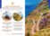 Madeira kapesní průvodce 5th 2025 Lonely Planet