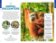 Indonésie (Indonesia) průvodce 14th 2024 Lonely Planet