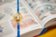 Walt Disney's Donald Duck: The Ultimate History