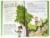Vzhůru do divočiny! V lese