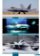 AERO 130 Lockheed Martin / Boeing F-22 Raptor