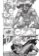 Berserk 13