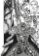 Berserk 16