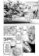 One-Punch Man 12 - Ti silní