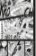 Naruto 65 - Haširama a Madara