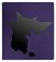 Pokémon Ultra PRO: Elite Series PRO-Binder A4 - Gengar (480 karet)