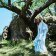 LP Ravyn Lenae: Blue Island (Translucent Vinyl)
