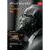 My Musical Life - DVD