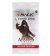 Magic The Gathering: Assassin´s Creed - Beyond Booster Pack