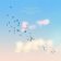 LP+SP Gogo Penguin - Everything is Going To Be Ok (Deluxe Edition, Clear Version)