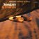 CD LLOYD CHARLES - SANGAM & FRIENDS