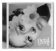 CD Ariana Grande - petal (Alternate Cover)