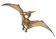 PTERANODON