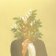 LP FKJ - French Kiwi Juice