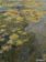 Kalendář 2021 - Monet 48 x 64
