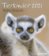Kalendář 2021 - Baby Animals 30x34