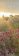 Kalendář 2021 Gardens 34 x 98