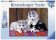 Puzzle Husky/200 dílků