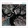 LP Tingvall Trio - Dance