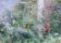 Pohlednice Berthe Morisot - The Garden at Bougival