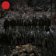 LP BEN-TZUR,GREENWOOD,EXPRESS - RANJHA