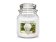 Yankee Candle svíčka - Camellia Blossom 35601