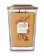 YANKEE CANDLE Amber & Acorn svíčka 553g / 2knoty