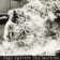 CD Rage Against The Machine -: Rage Against The Machine