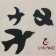 CD 3´Ain: Unland
