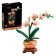 LEGO® Botanicals Miniaturní orchidej 10343