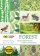 Happy Color blok A4 80g/m2 16l Forest