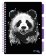 Blok SP B5/100l 80g Panda linka
