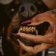 LP Leon Thomas - MUTT Deluxe: HEEL