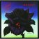 Thin Lizzy: Black Rose: A Rock Legend - LP