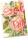 Notýsek Roses Pink