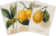 Sada tří notýsků - Lemons