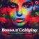 LP Various: Coldplay: Bossa N' Coldplay (Coloured Yellow Vinyl)