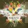 LP You Me At Six - Hold Me Down