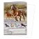 Sešit A5, 40 listů, typ 544 Wild horses