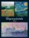 Kalendář 2027 nástěnný: IMPRESSIONISTS
