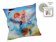 Hurvínek polštář 30x30 cm + CD - Drak