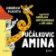 CD Pučálkovic Amina - audioknihovna