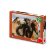BAREVNÍ KONĚ 300 XL Puzzle NOVÉ